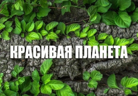 Красивая планета Нидерланды. Система из ветряных мельниц в Киндердейке