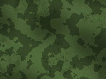 Боевая профессия Промоутеры