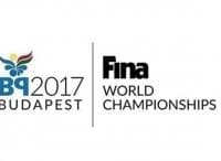 Чемпионат мира по водным видам спорта. Борьба за победу