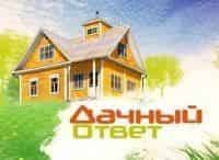 Дачный ответ