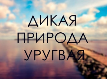 Дикая природа Уругвая