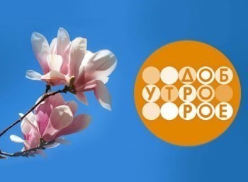 Доброе утро