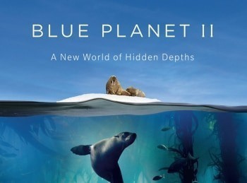Голубая планета 2 Зеленые моря