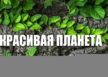Красивая планета Испания. Исторический центр Кордовы
