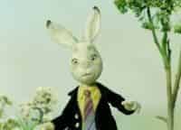 Кролик с капустного огорода