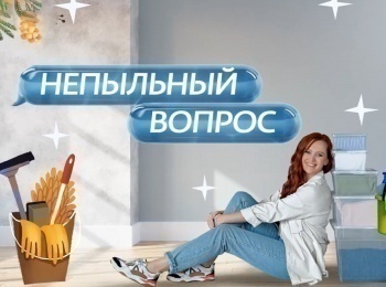 Непыльный вопрос 2 серия