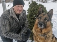 Новогодний пес