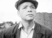 Петр Алейников. Жестокая, жестокая любовь