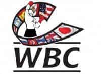 Профессиональный бокс. Бой за титул чемпиона мира по версии WBC в первом среднем весе. Трансляция из США Дж. Чарло - Т. Харрисон
