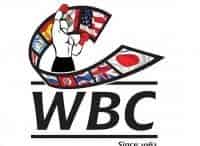 Профессиональный бокс. Бой за титул чемпиона WBC Silver М. Алоян - Э. Кастильо. Ф. Чудинов - Р. Форд