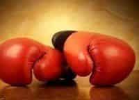 Профессиональный бокс. Бой за титул чемпиона WBC в полутяжёлом весе. Бой за титул WBC Silver в полутяжёлом весе А. Стивенсон - А. Фонфара. Ж. Паскаль - Э. Альварес