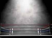 Профессиональный бокс. Бой за титулы чемпиона мира по версиям WBA, WBO и IBF в супертяжёлом весе. Трансляция из США Э. Джошуа - Э. Руис