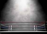 Профессиональный бокс. Прямая трансляция из Великобритании Л. Смит - С. Эггингтон