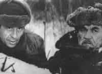 Проверка на дорогах