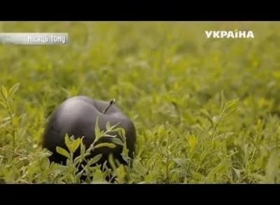 Реальная мистика Яблоко раздора