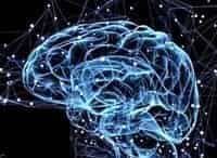 Сила мозга 2 серия - Раскрытие загадок интеллекта