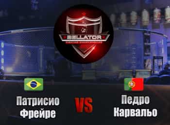 Смешанные единоборства. Bellator. Патрисио Фрейре против Педро Карвальо. Трансляция из США