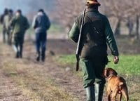 Великолепная пятерка Собачья работа