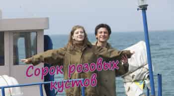 Сорок розовых кустов