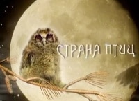 Страна птиц Год цапли