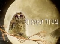 Страна птиц Лето с вертишейкой