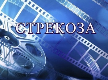 Стрекоза