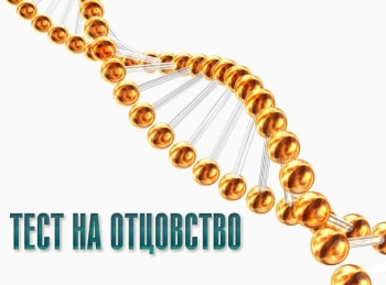 Тест на отцовство 203 серия