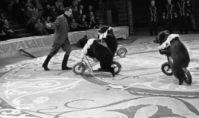 ХХ век Медвежий цирк. 1963 / Новоселье Олега Попова. 1960