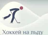 XXIII Зимние Олимпийские игры. Хоккей. Мужчины. 1/4 финала. Прямая трансляция из Кореи