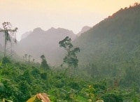 Живая природа Индокитая 4 серия - Юго-Западный Китай. Заповедный сад
