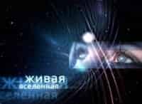 Живая Вселенная Солнце и Земля. Вспышка
